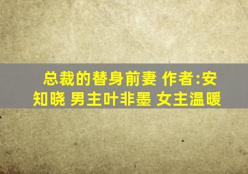 总裁的替身前妻 作者:安知晓 男主叶非墨 女主温暖